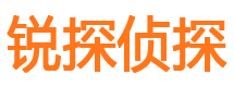 江海市私家侦探